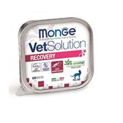 Monge VetSolution Cat Recovery 100 g