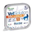Monge VetSolution Cat Renal and Oxalate 100 g