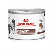 Royal Canin Veterinary Diet Dog&Cat Recovery 195 g