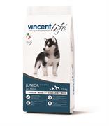 Vincent Life Dog Junior Pollo e Riso 15 kg