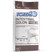 Forza10 Intestinal Colon Fase Uno