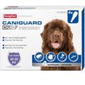 Beaphar Caniguard Duo per Cane da 40 kg a 60 kg