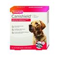 Beaphar Collare Antiparassitario Canishield Doppio da 65 cm