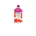Inodorina Pavimenti Magic Home Cedro 1 l