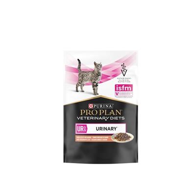 Purina Pro Plan Veterinary Gatto UR ST/OX Urinary Salmone 85 g