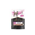 Purina Pro Plan Veterinary Gatto UR ST/OX Urinary Salmone 85 g