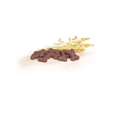 Record BiscoDog Ossetti al Ragù 400 g