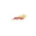 Record BiscoDog Frutti di Bosco 400 g