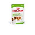 Royal Canin Dog X-Small Adult Dog 85 g