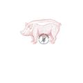 Vincent Uno Monoproteico Adult Grain Free al Maiale 2,5 kg