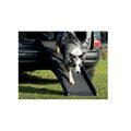Rampa Pieghevole per Cani 40x153 cm