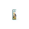 Padovan Stix Fruit Parrocchetti 100 g