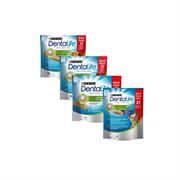Dentalife Maxi Pack Stick