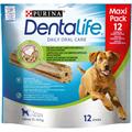 Dentalife Maxi Pack 12 Stick Large
