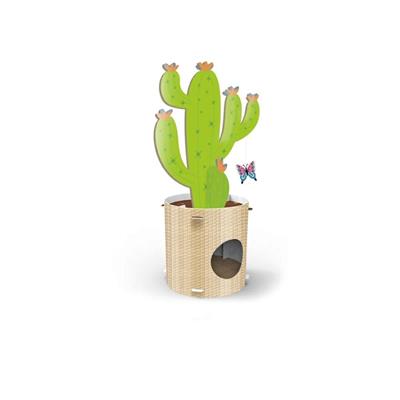 Tiragraffi Record in Cartone Cactus