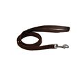 Guinzaglio Basic Record Nylon XS 1,6x100 cm Marrone