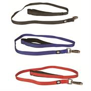 Guinzaglio Adventure Nylon con Maniglia in Neoprene 2.5x100 cm