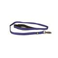 Guinzaglio Adventure Nylon con Maniglia in Neoprene Blu 1.5x120 cm