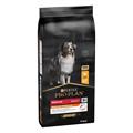 Purina Pro Plan Cane Medium Adult Everyday Nutrition Pollo
