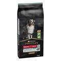 Purina Pro Plan Cane Medium Adult Sensitive Digestion Agnello 3 kg