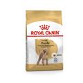 Royal Canin Dog Poodle Adult