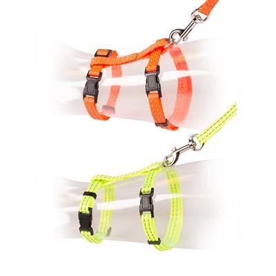 Parure per Gatti Adulti di Grossa Taglia Fluo