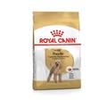 Royal Canin Dog Poodle/Barboncino Adult 1,5 kg