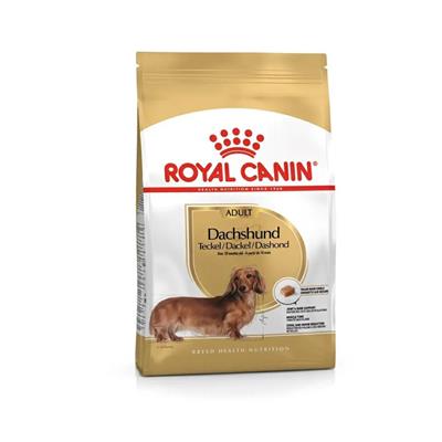 Royal Canin Dog Dachshund/Bassotto Adult