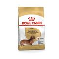 Royal Canin Dog Dachshund/Bassotto Adult