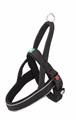 Pettorina in Nylon e Neoprene Waterprof Taglia XL 65-80x2,5 cm