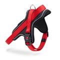 Pettorina Y Memopet XS 30 - 35 cm Rosso