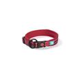 Collare in Nylon e Mesh L 45-50x2,0 cm