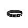 Collare Nylon Imbottito Soft 45-50x2 cm Nero