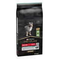 Purina Pro Plan Cane Puppy Medium Sensitive Digestion Agnello 12 kg