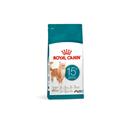 Royal Canin Cat Ageing 15 +