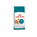 Royal Canin Cat Ageing 11 +