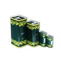 Lattina per Olio in Latta con Tappo 10 Litri