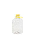 Tanica in Pet con Tappo e Maniglia 2 Litri