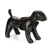 Pettorina Y Art Sport Premium 38-48x2 cm