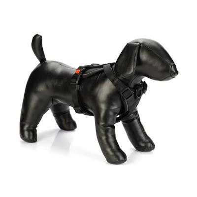 Pettorina Y Art Sport Premium 81-100x3 cm